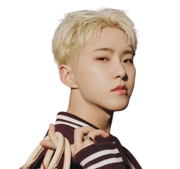 호시